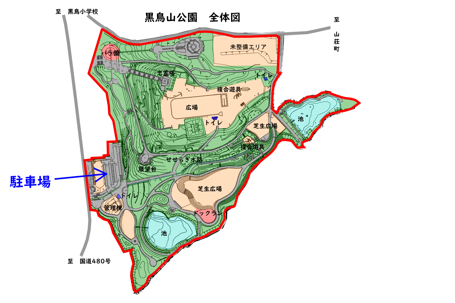 黒鳥山公園の桜・夜桜2026速報！駐車場混雑とBbq利用の真相