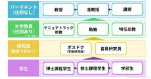 【必見】 特 任 助教 と は 徹底解説＆真相まとめ #805