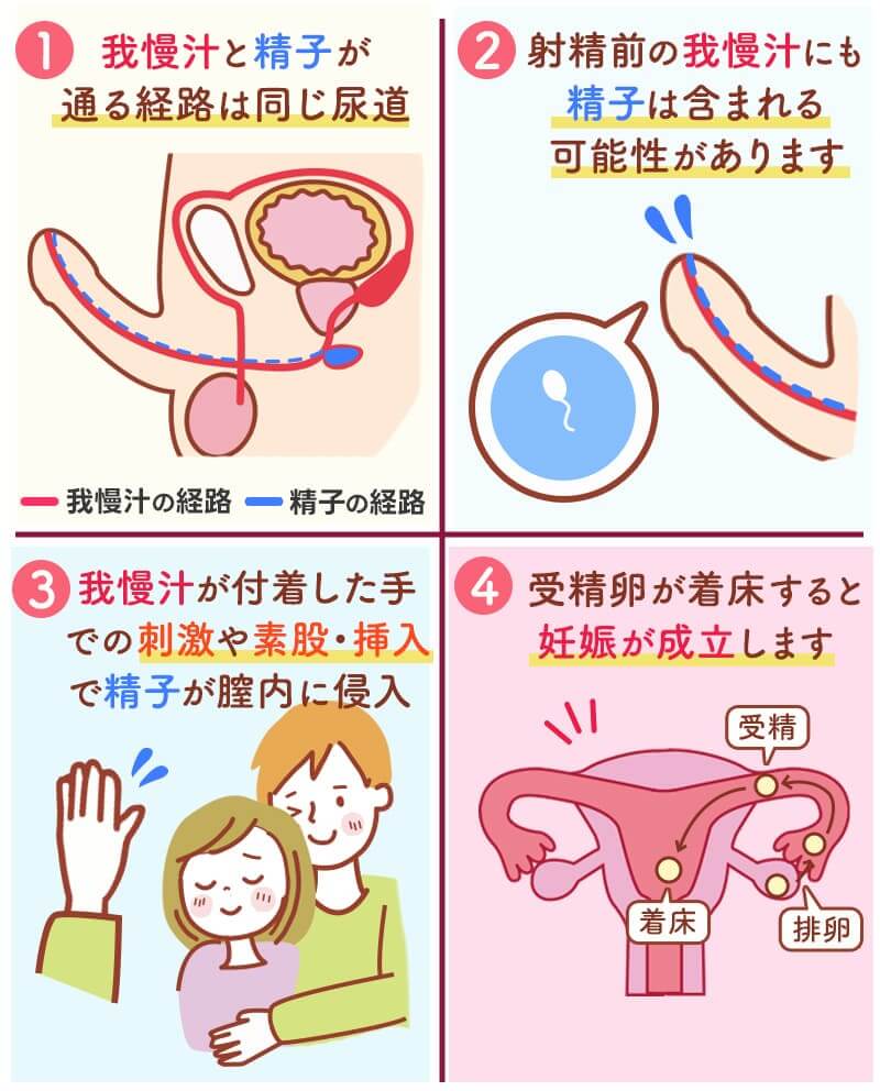 カウパー液の妊娠確率は何％？外出し避妊の失敗リスクと対処法を解説