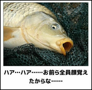 「釣った魚に餌をやらない」関係性の終焉？2026年のタイパ至上主義がもたらす冷めた恋愛のリアルと解決策