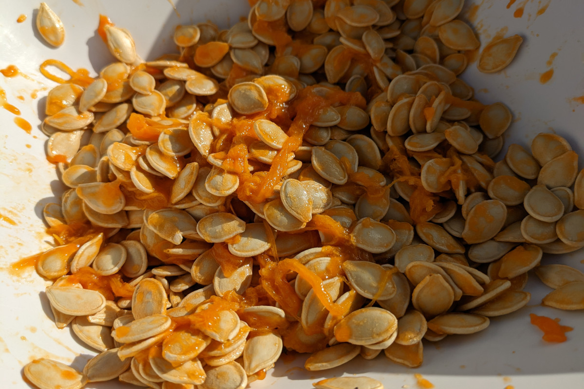 Too Many Pumpkin Seeds