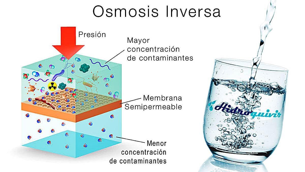 Osmosis Significado En Español