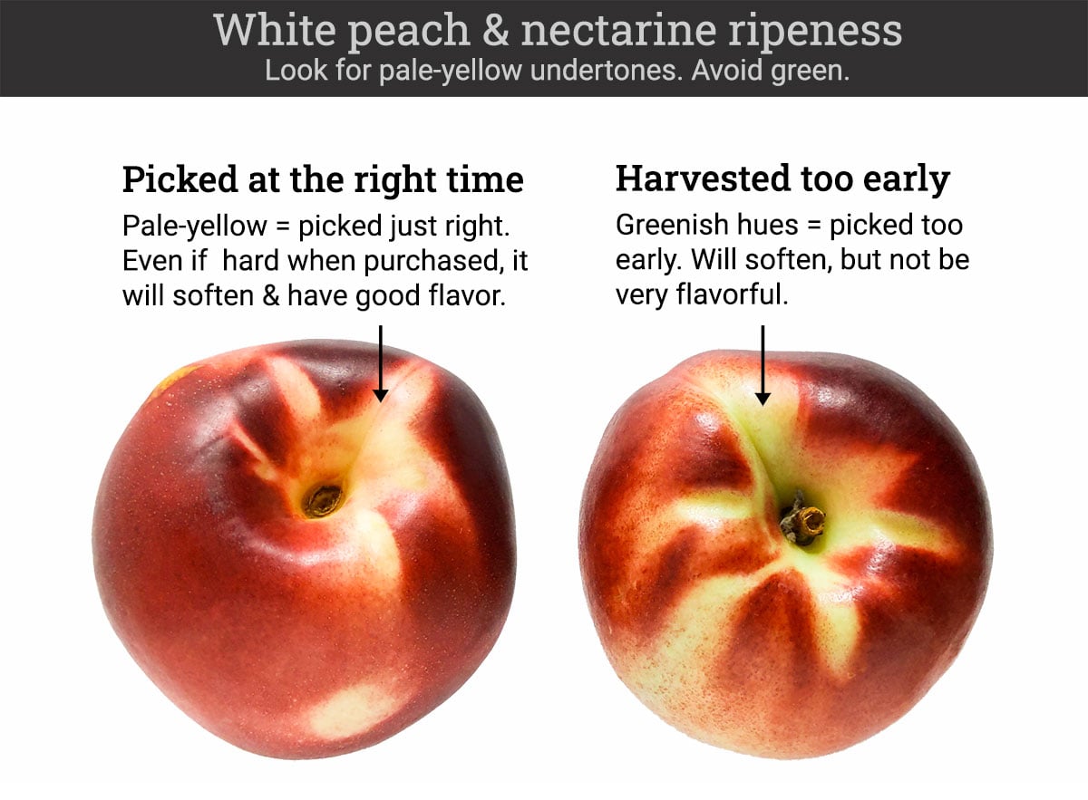 Difference Between White and Yellow Nectarines