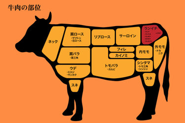 【真相】 ランプ 肉 と は 最新情報まとめ 2026 #679
