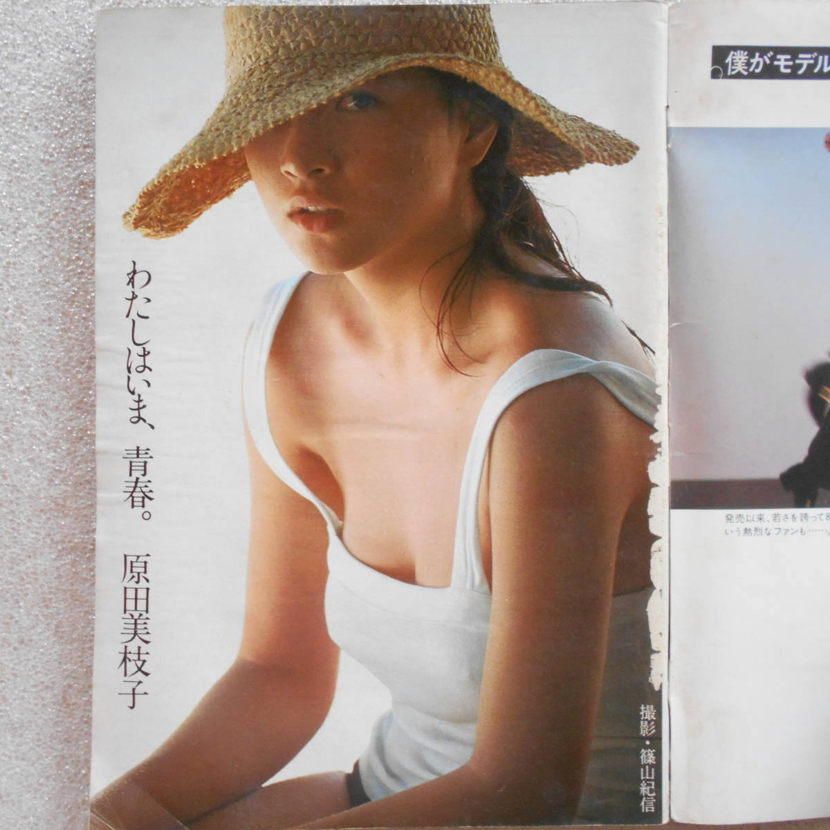 原田美枝子の体当たり演技と名作の真相｜昭和映画史に刻まれた覚悟