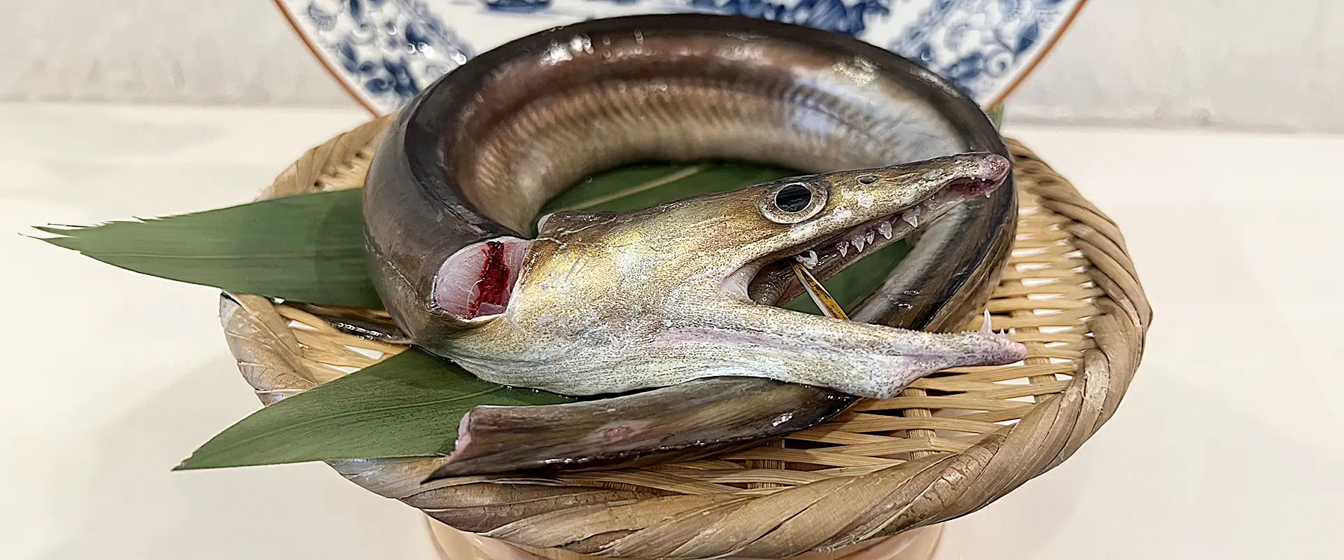 「魚へんに豊」と書く鱧の読み方と由来｜京都で愛される理由と旬を徹底解説