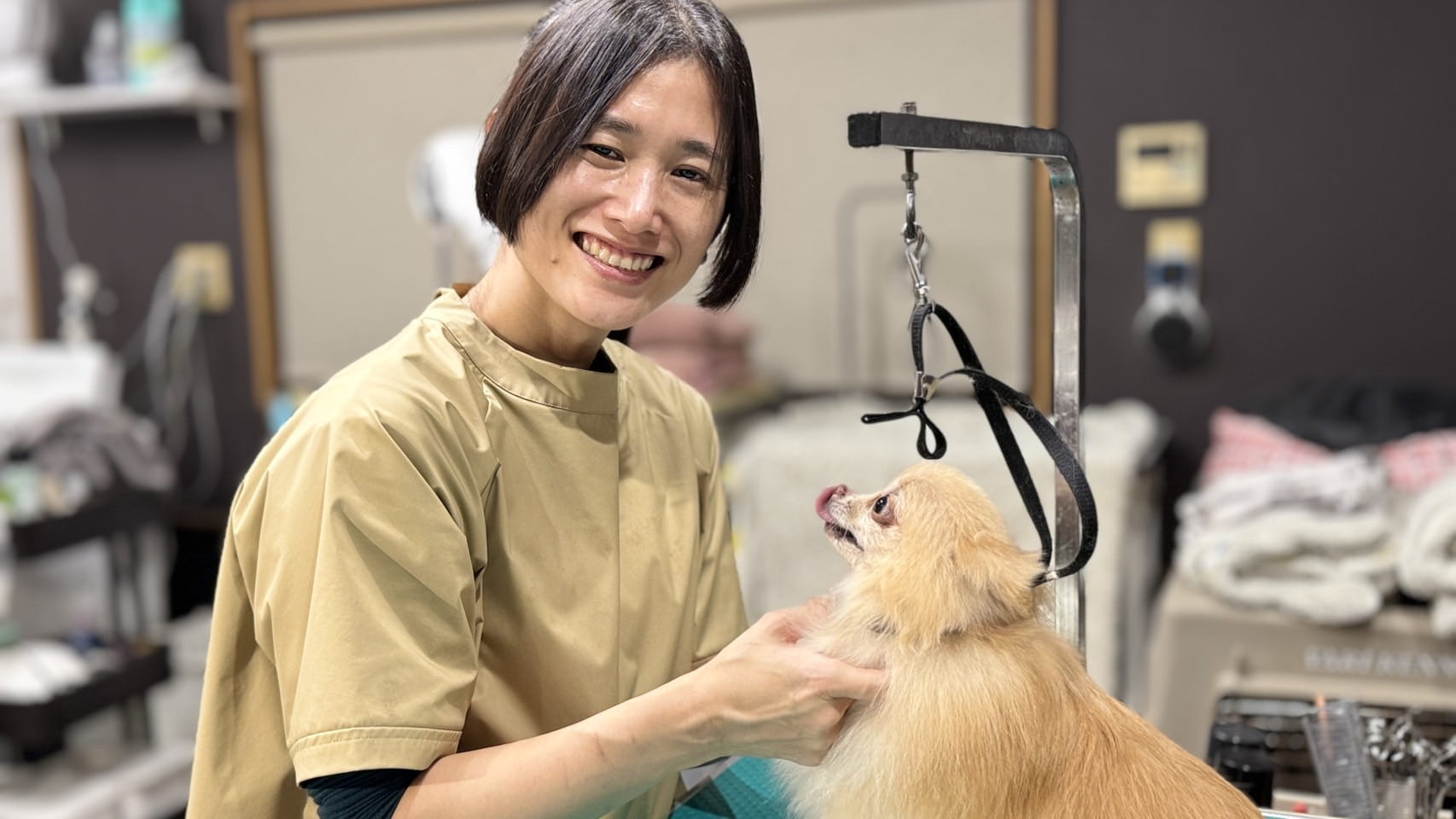 マイ犬シャンプースポット評判の真相！2026年最新事情を徹底検証