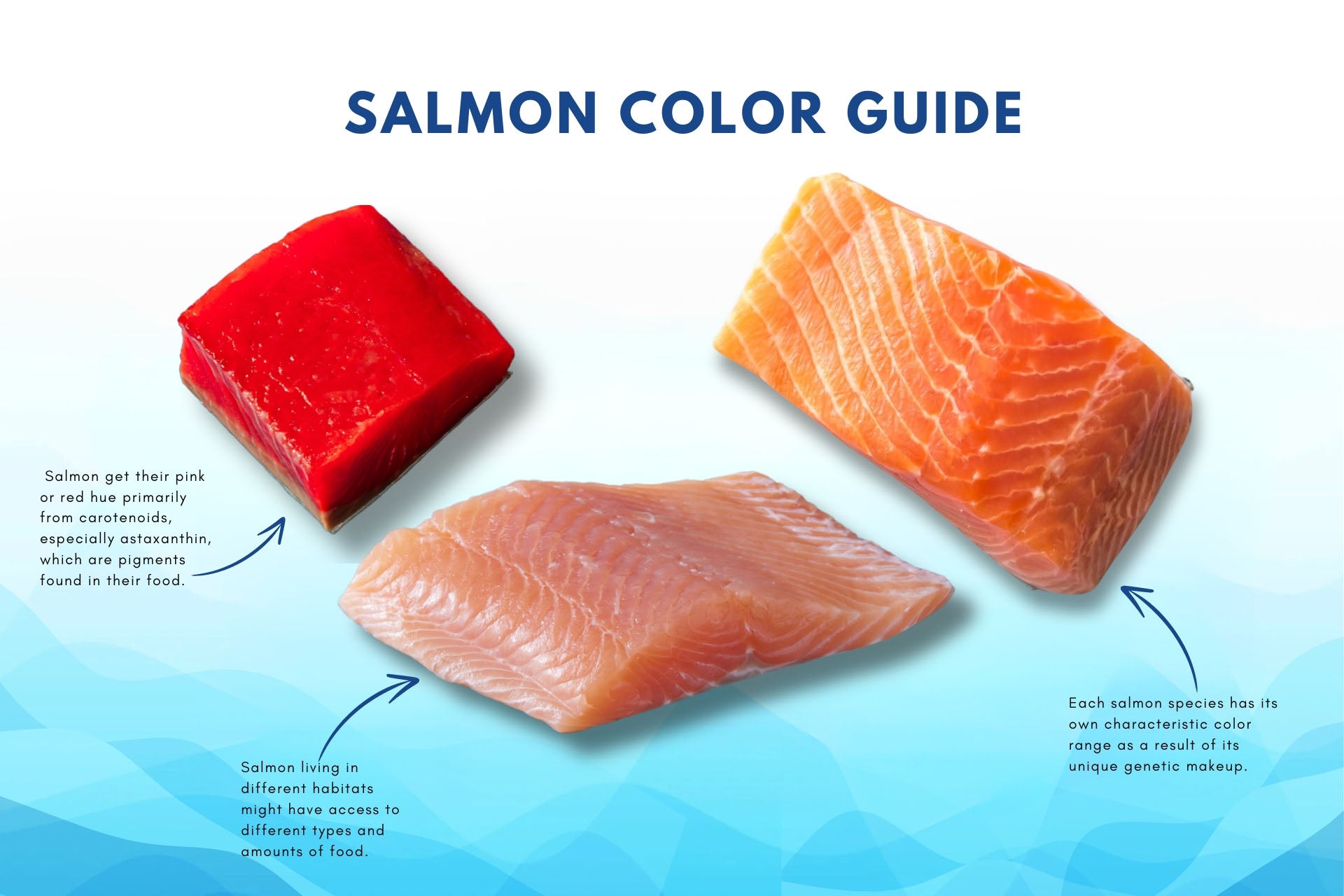 What Color Should Salmon Be