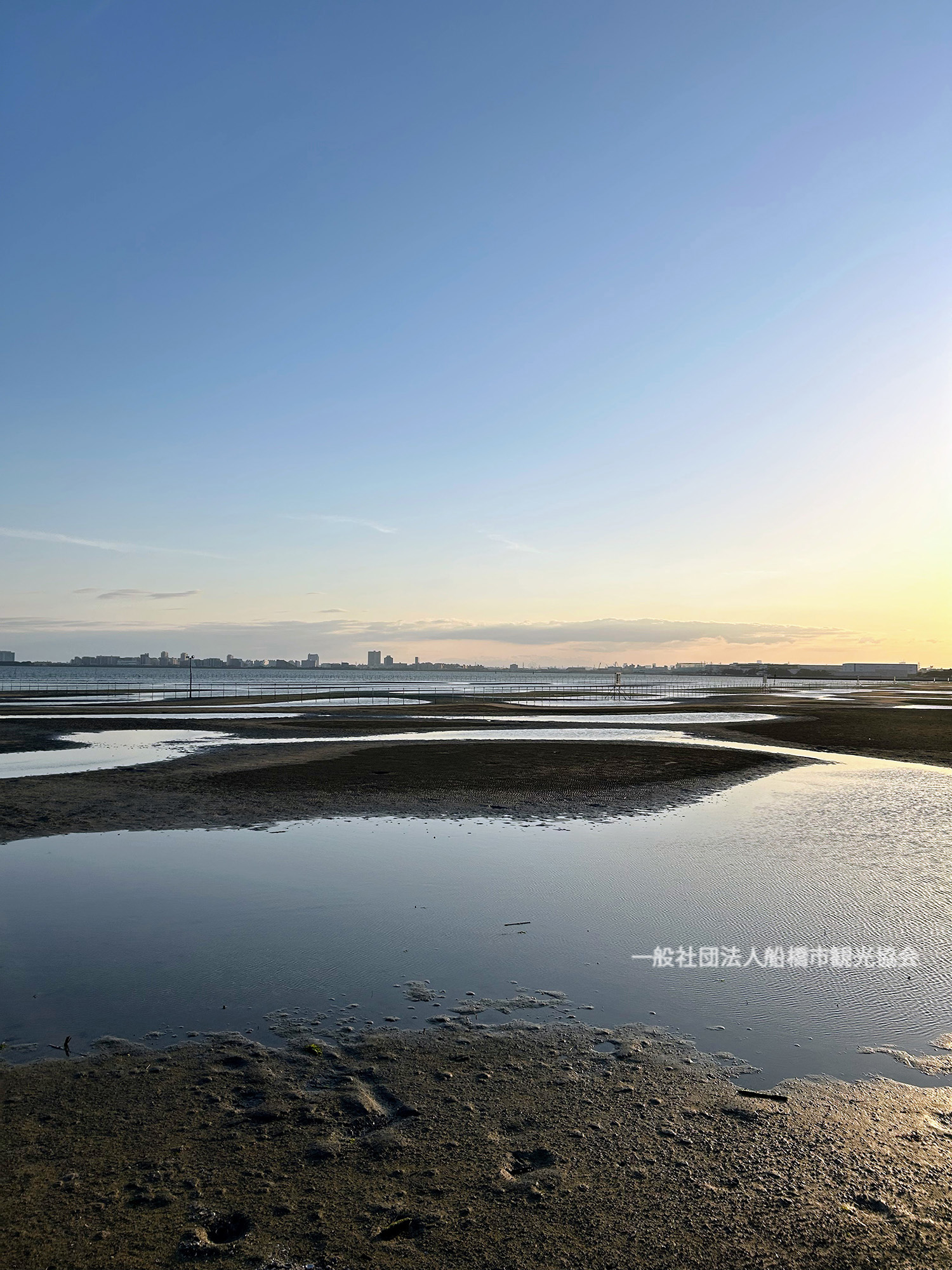 船橋三番瀬海浜公園2026攻略｜潮干狩り・Bbq失敗回避と混雑の真相