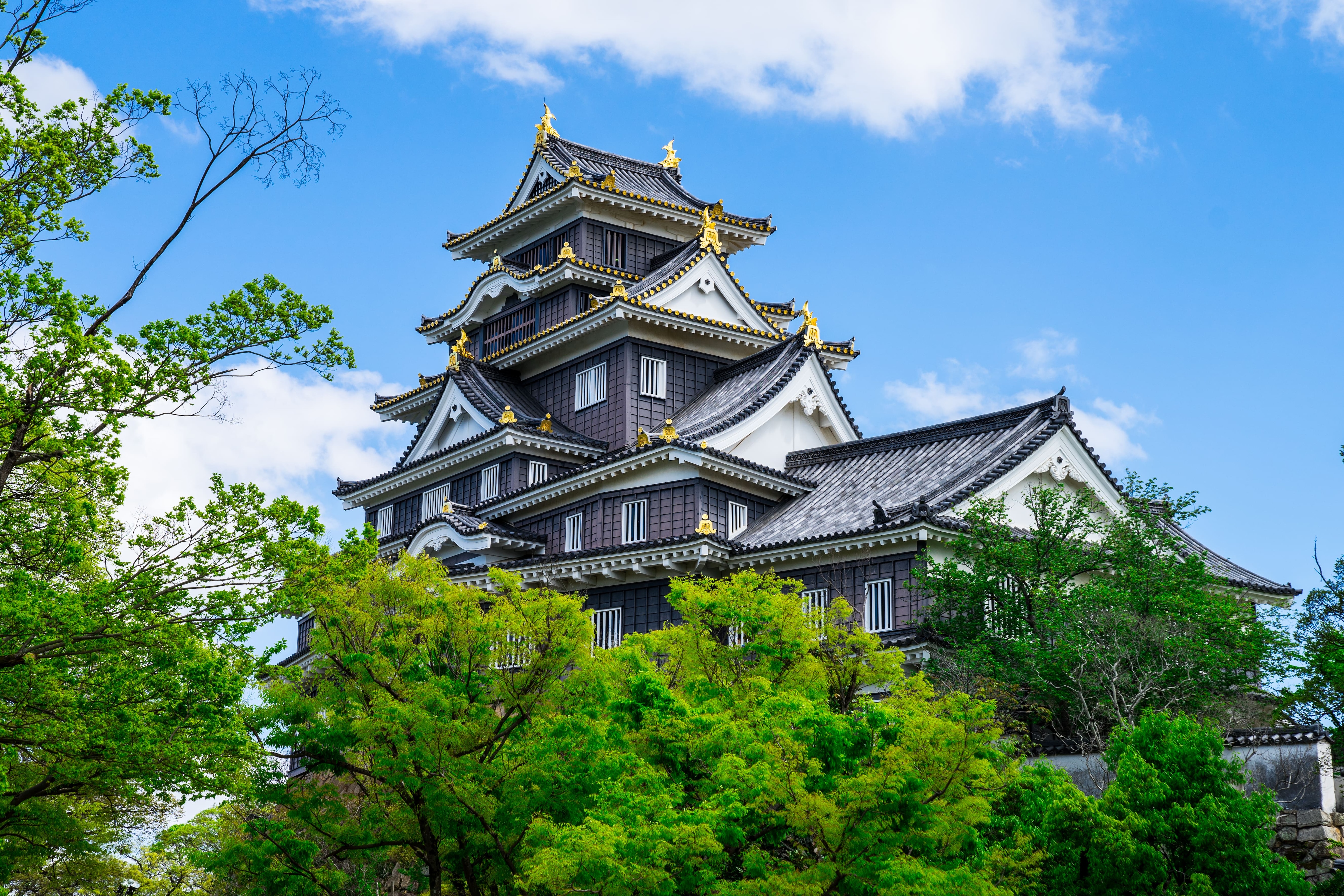 地域医療の要・岡山協立病院を徹底解剖！受診前に知るべき最新情報