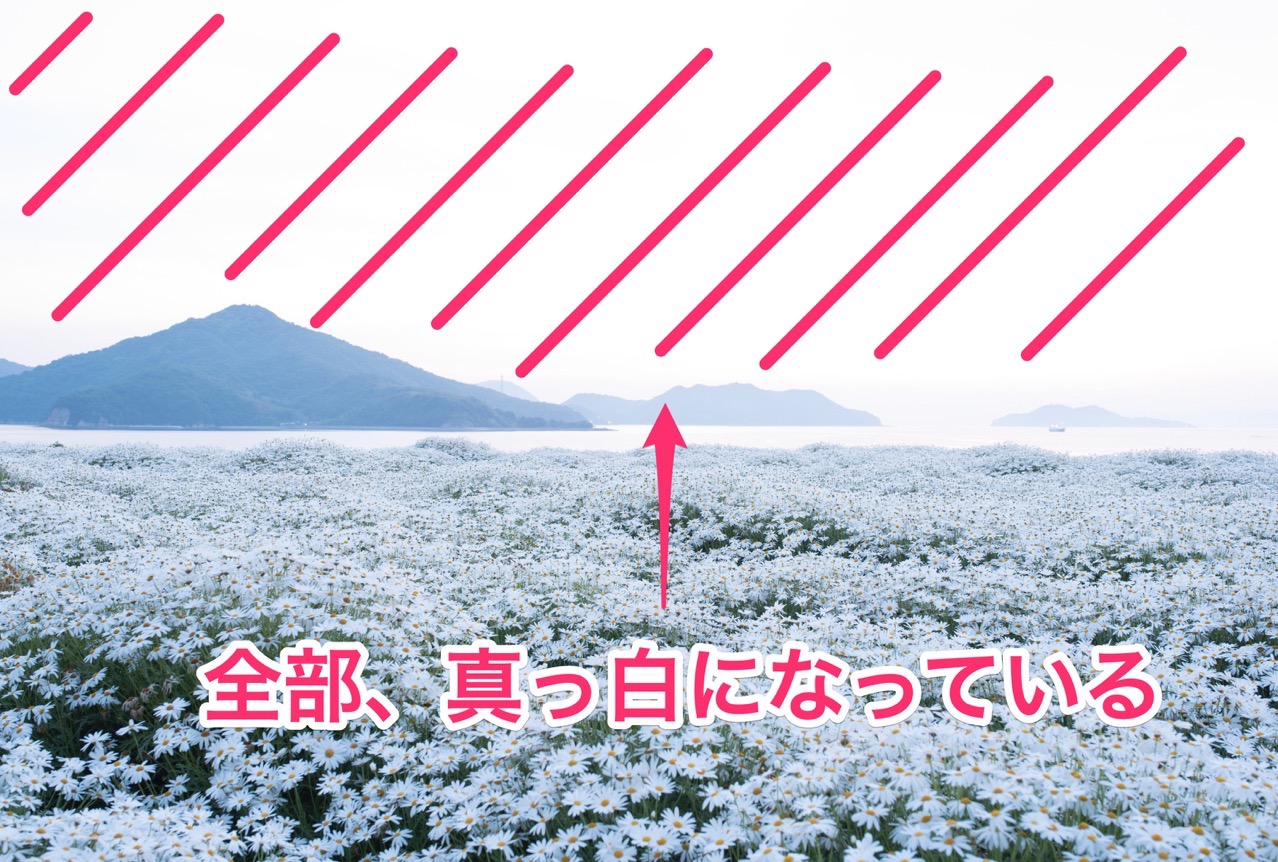 白飛びとは？原因と黒つぶれとの違い＆プロが教える劇的復元・撮影術