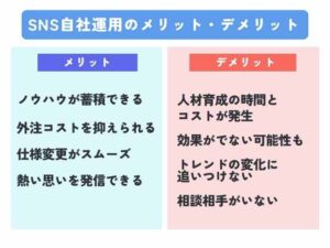 【必見】 Sns の メリット デメリット 最新写真集＆動画まとめ #692