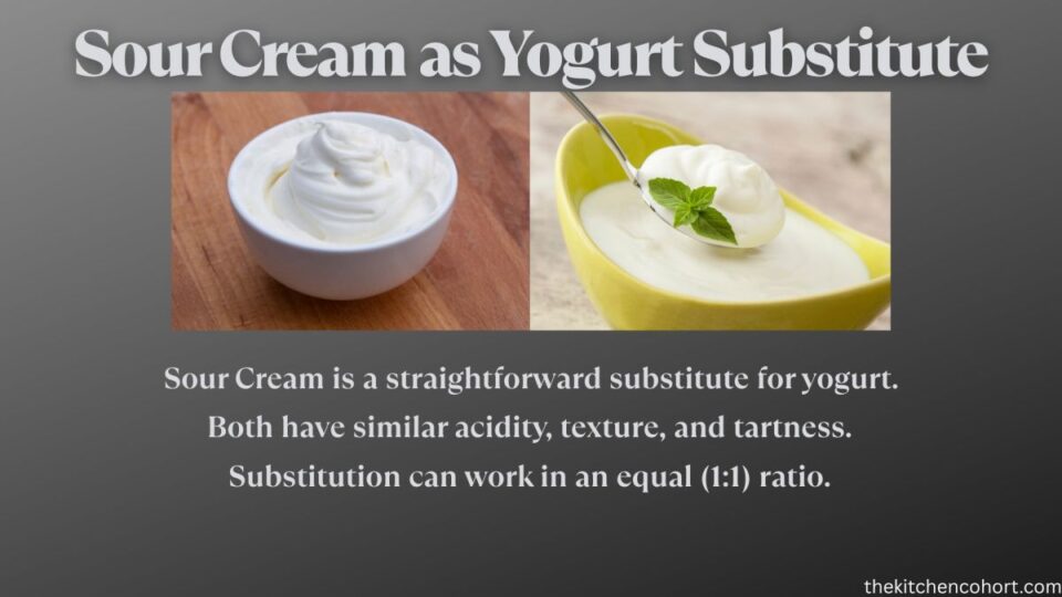 Can I Use Yogurt Instead of Sour Cream