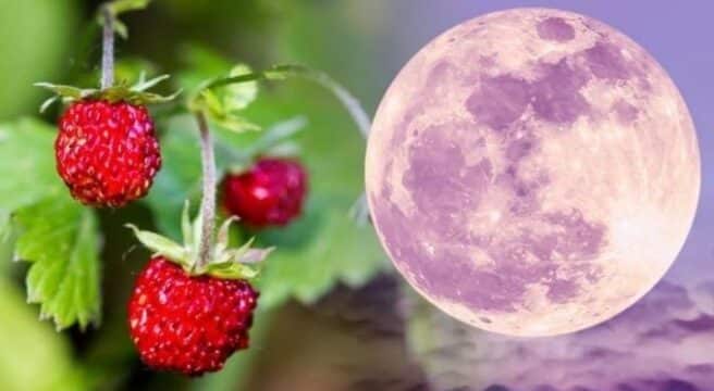 Why Is It Called a Strawberry Moon
