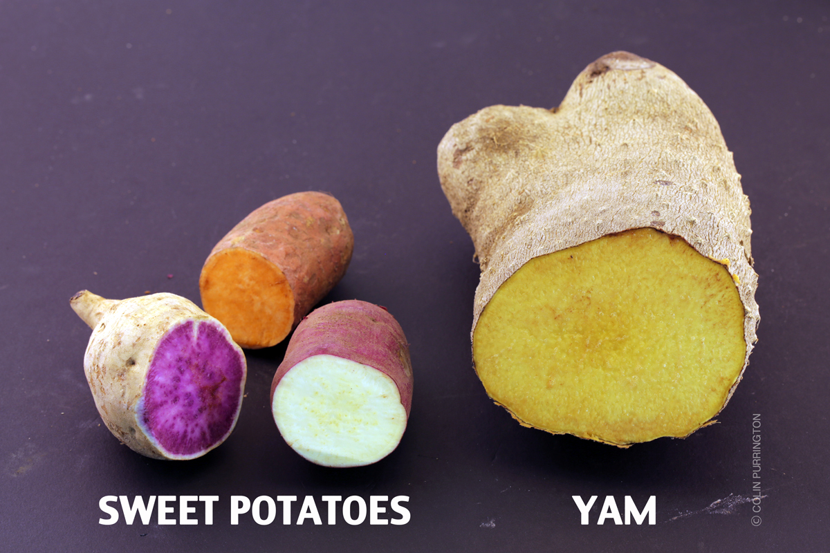 Difference of Yams and Sweet Potatoes