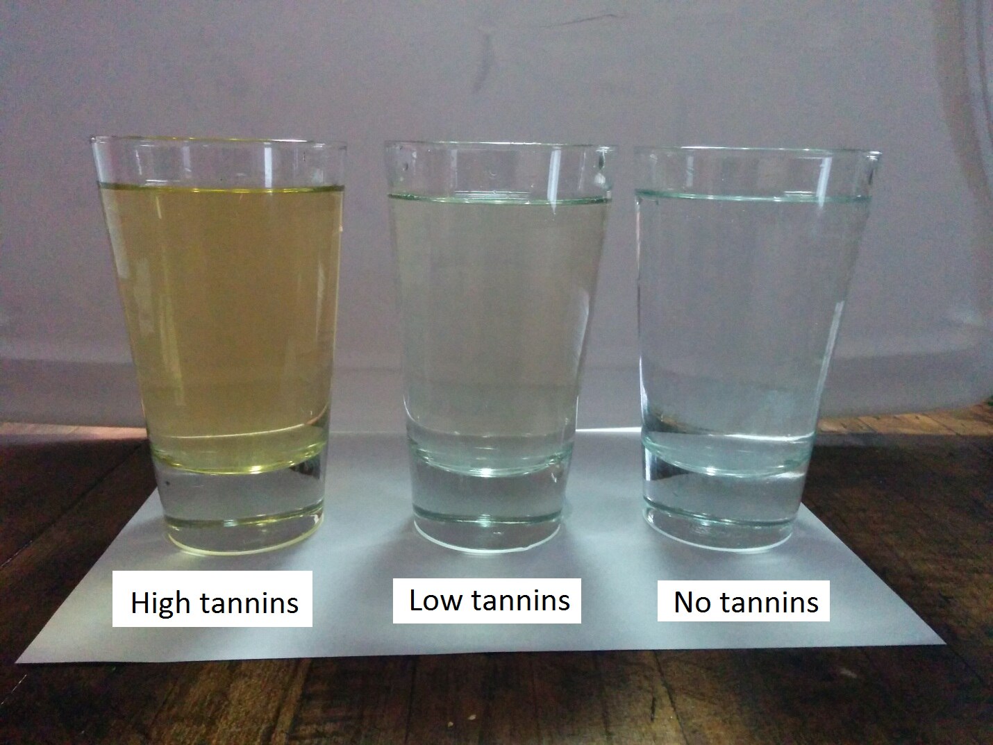 What Is Tannin in Water