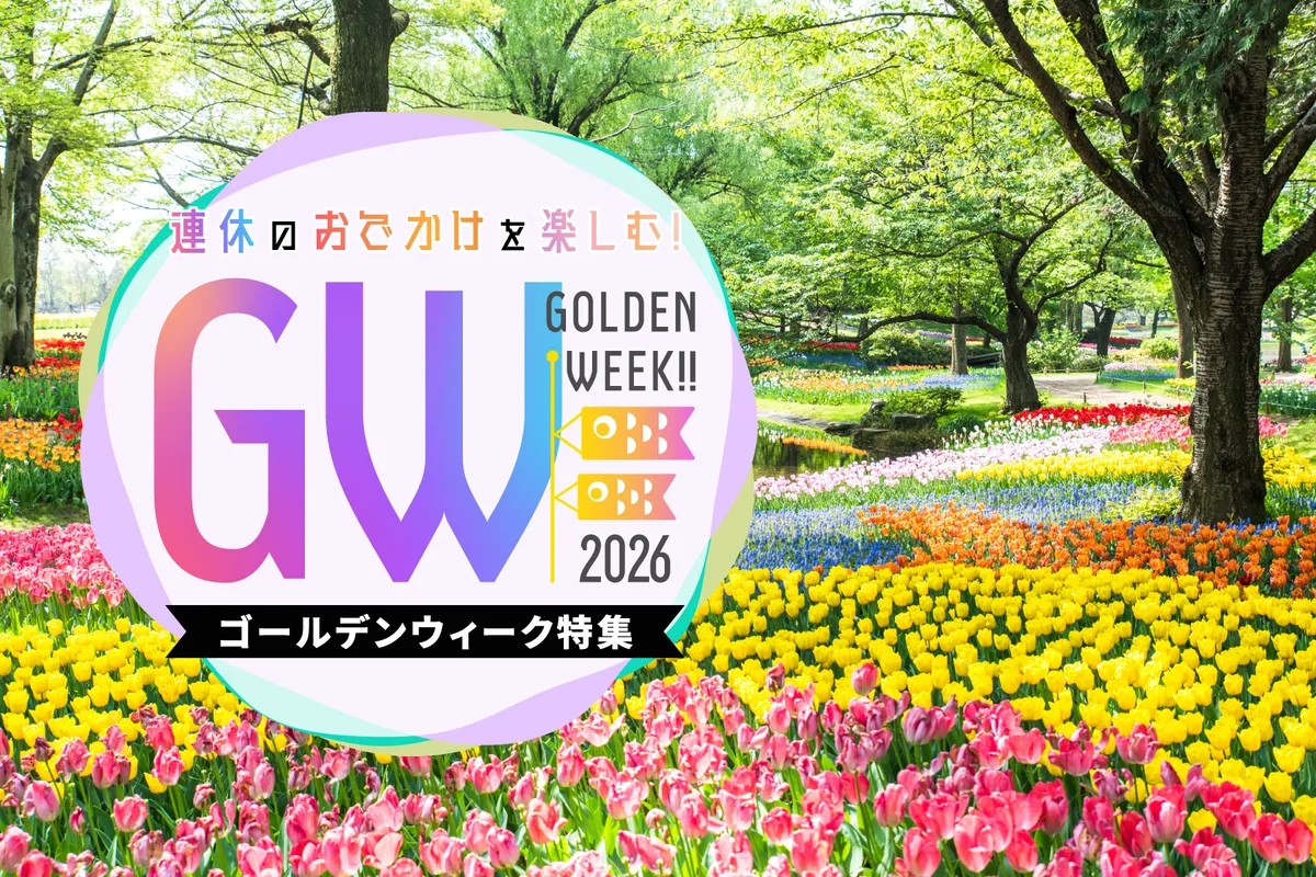 天王寺・菜乃庵なぜ予約殺到？一汁八菜ランチの評判と混雑状況を徹底検証
