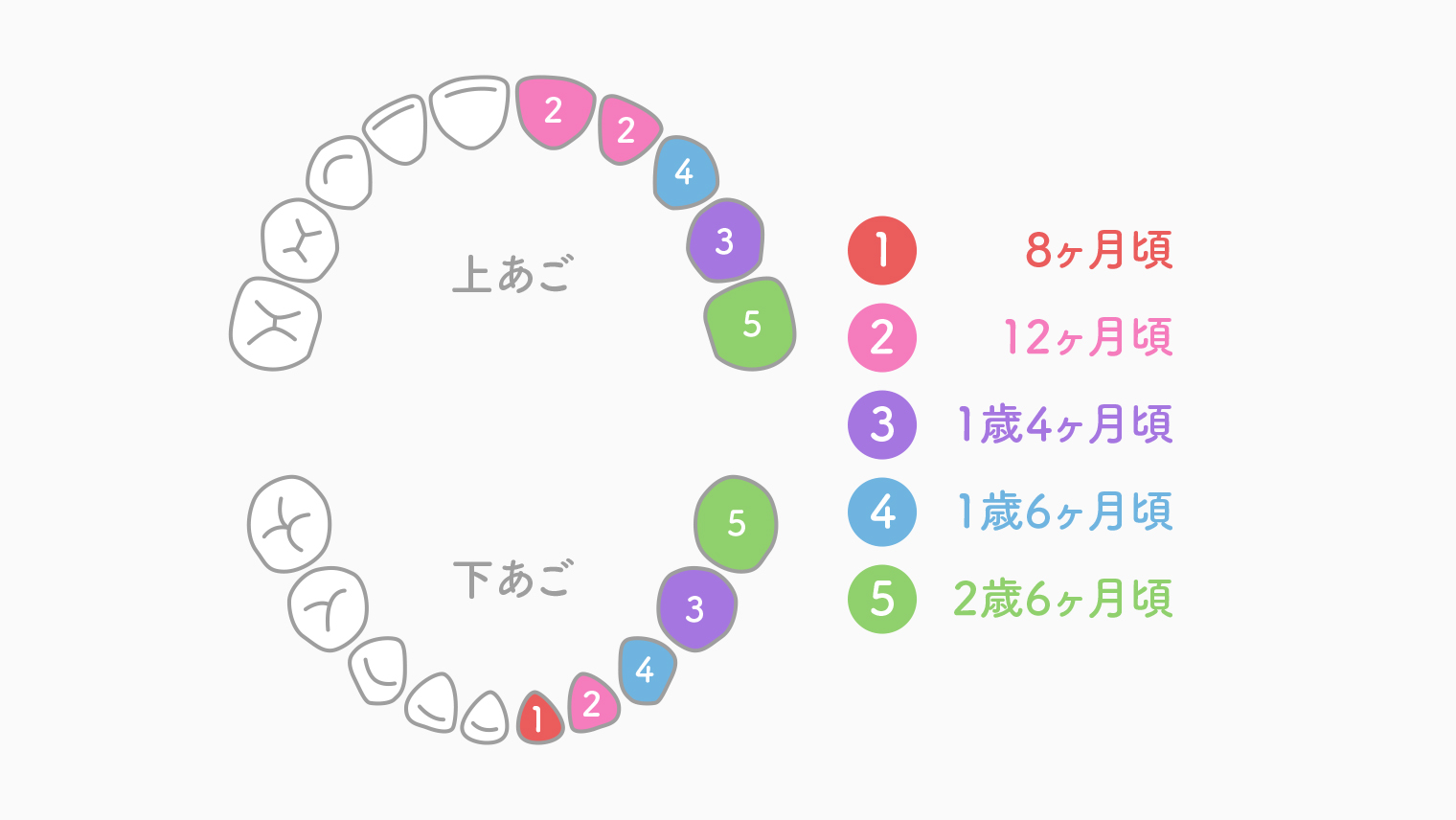 赤ちゃんの歯が生える順番はバラバラでも大丈夫？時期と最新ケアの目安