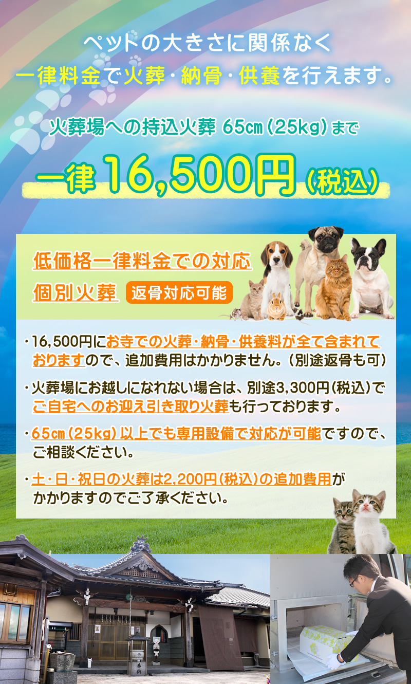 諏訪公園の魅力徹底解剖！遊具・駐車場とイルミ攻略【2026最新版】