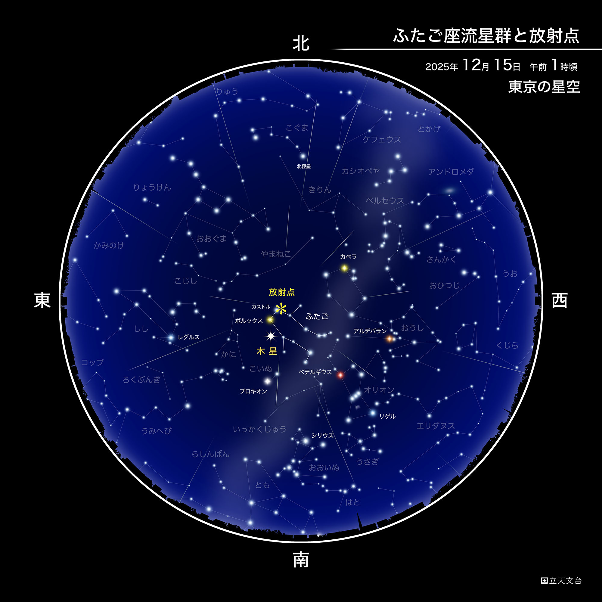 2026年ふたご座流星群の極大ピークはいつ？方角・月齢と観測の極意