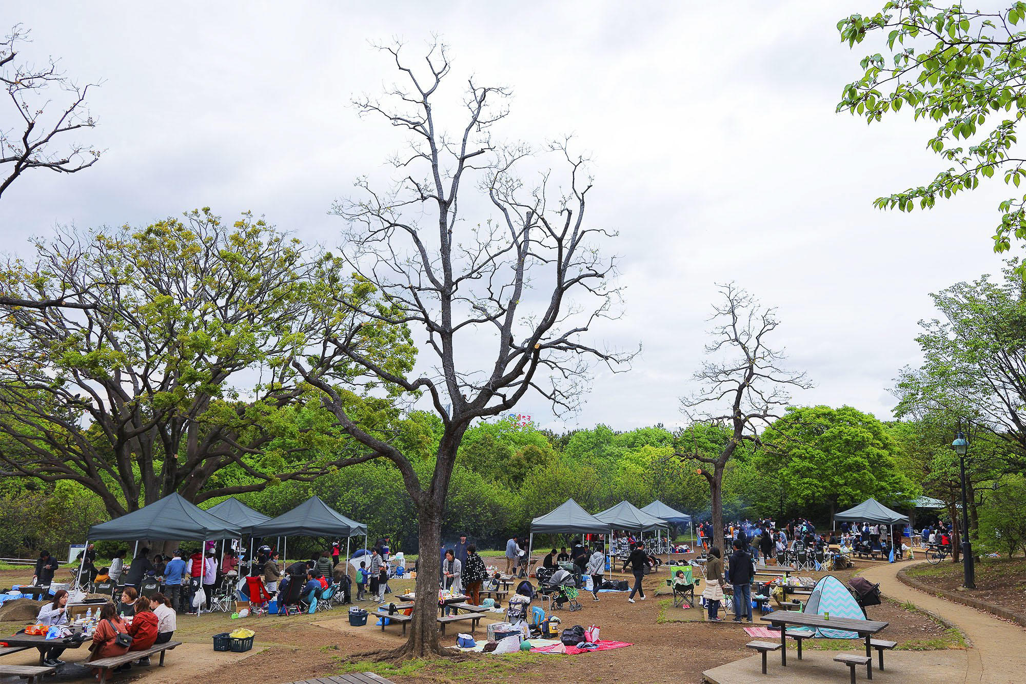 葛西臨海公園バーベキュー広場徹底解説！手ぶら料金と予約の裏ワザ