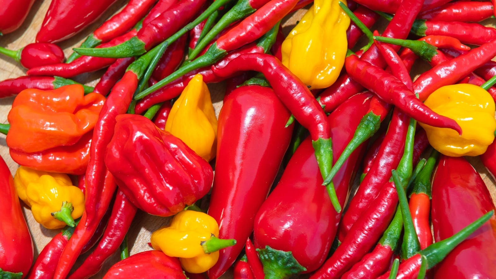 Why Are Hot Peppers Hot