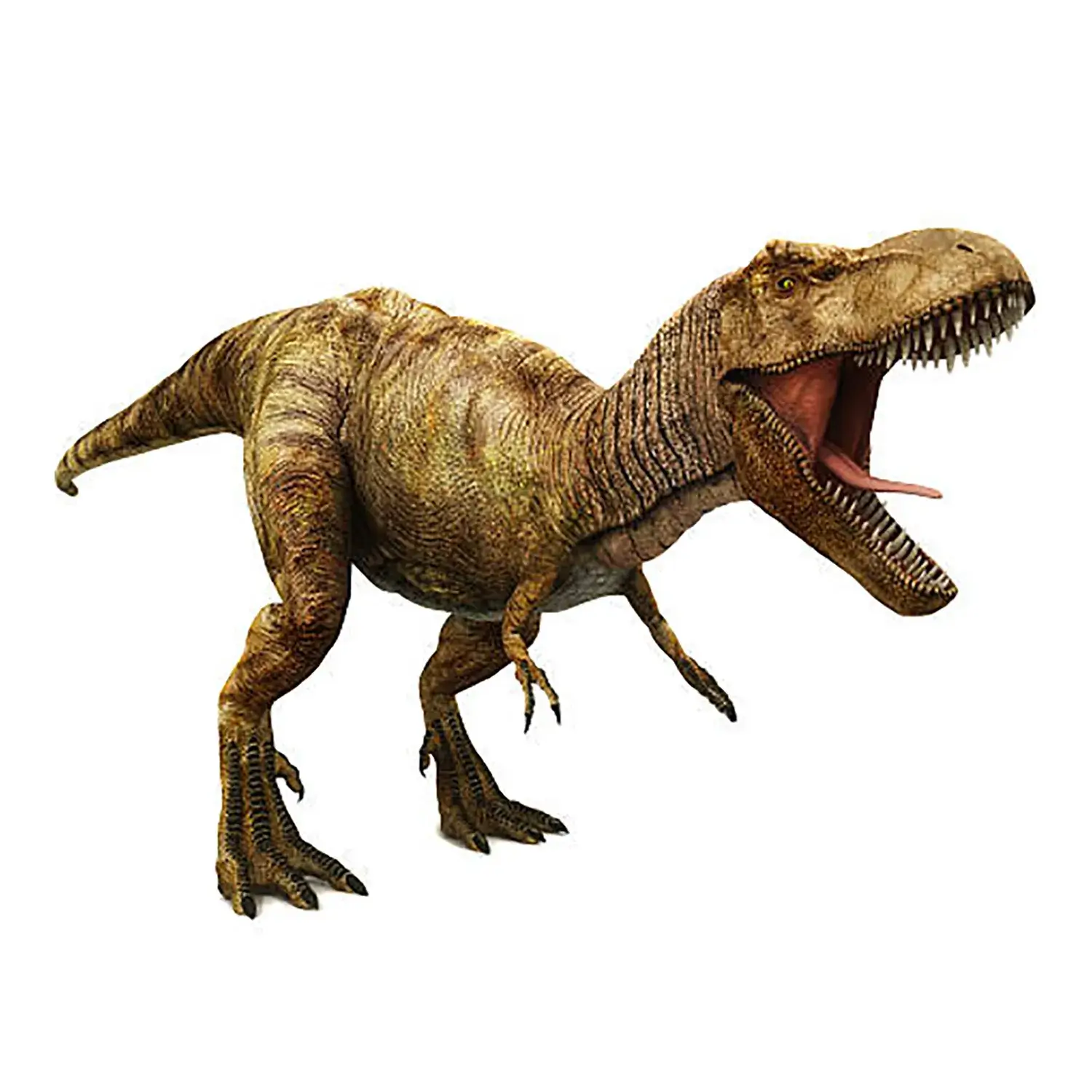 ティラノサウルスの実際の姿とは？最新研究で覆る最強恐竜の真実
