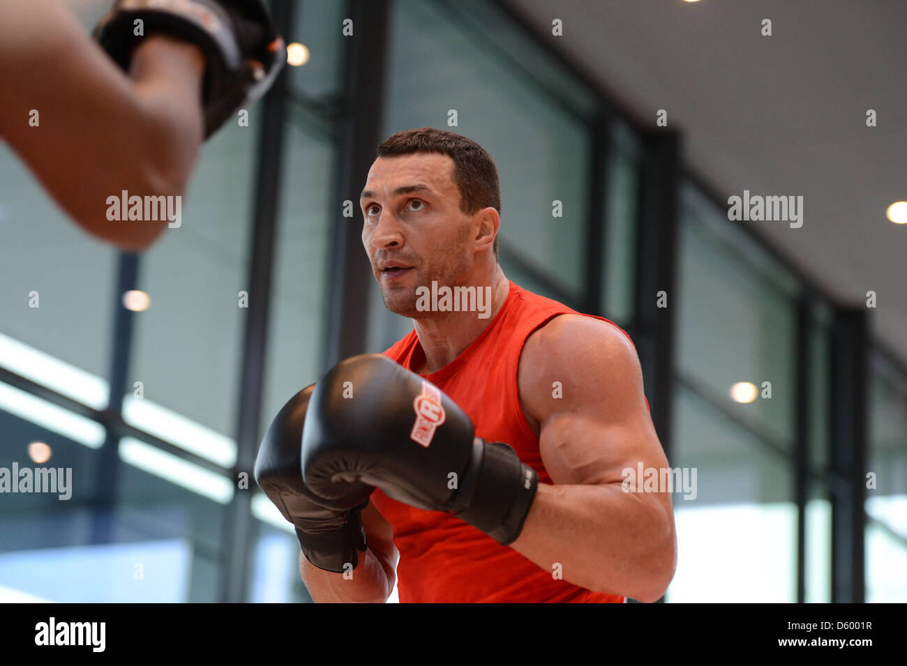 Financial Portfolio of Boxing Hall of Famer Wladimir Klitschko