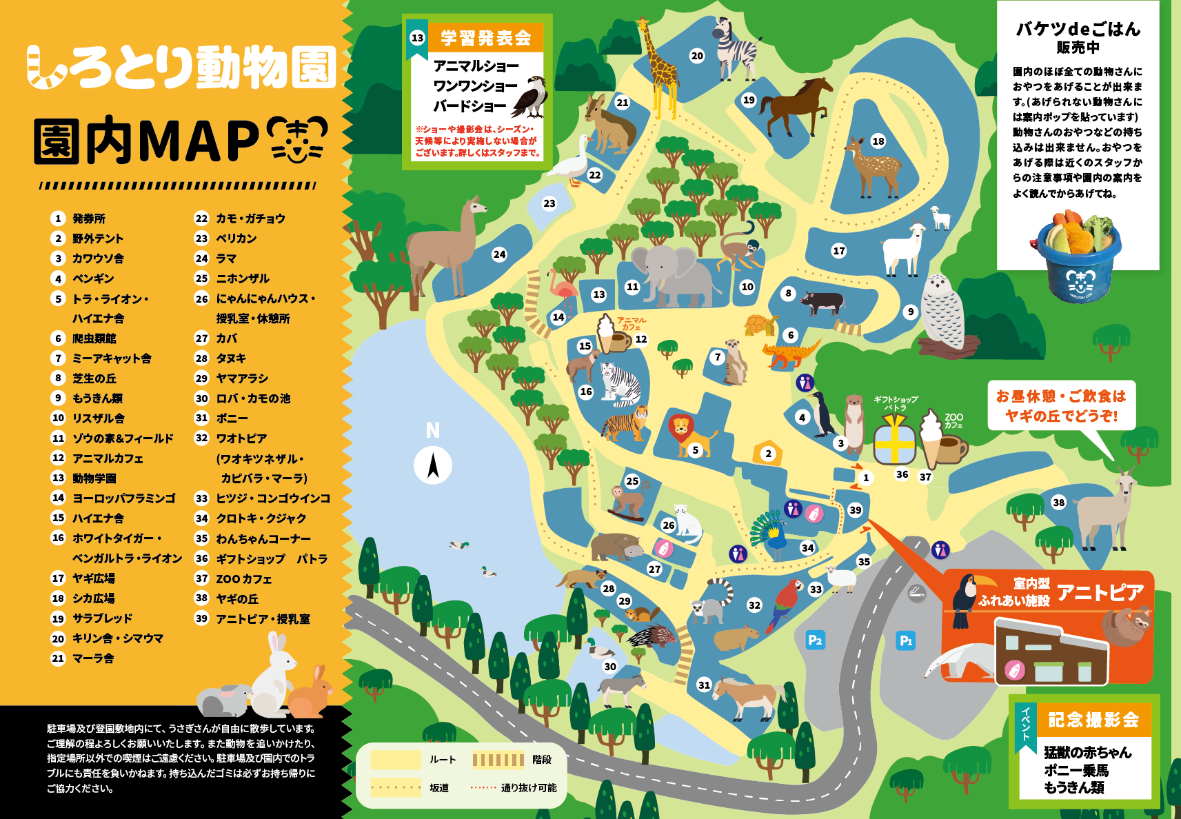 自由すぎる白鳥動物園！ホワイトタイガー触れ合い＆混雑回避ガイド