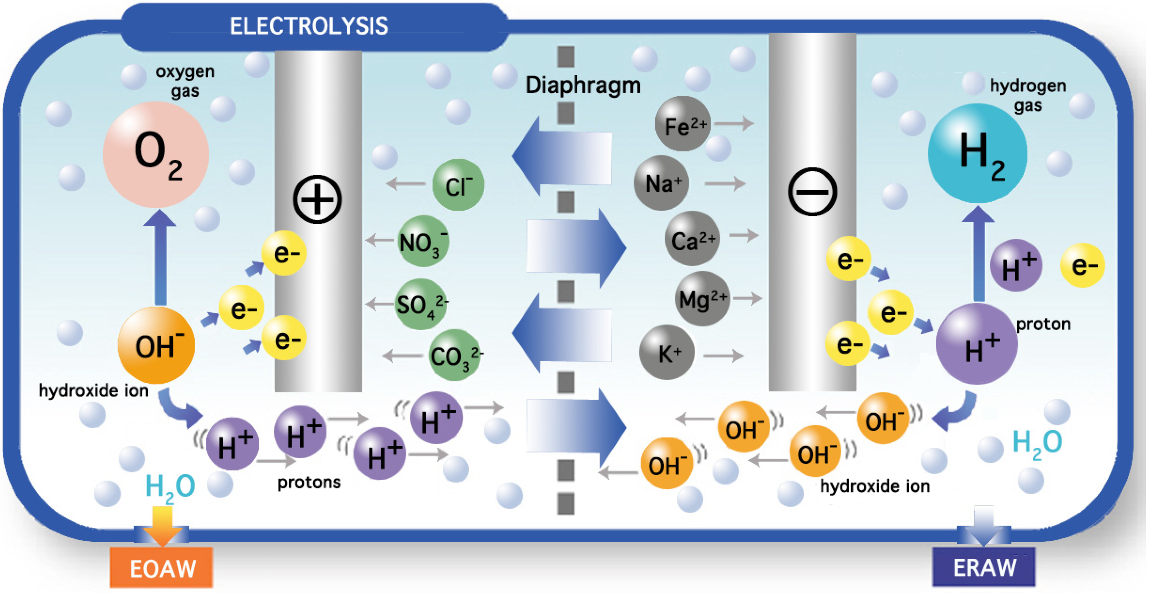 What Is Electrolyzed Reduced Water
