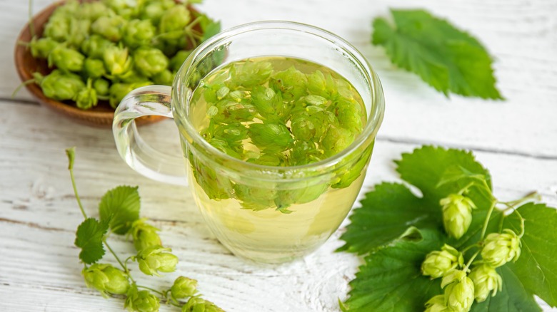Benefits of Hop Water
