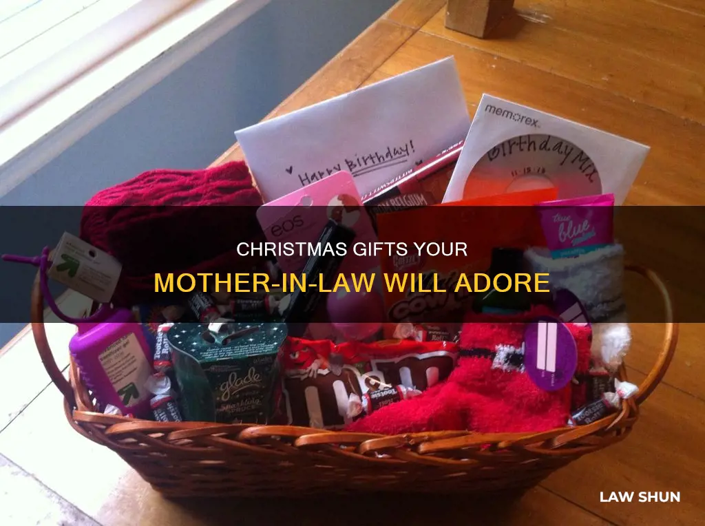 What to Get for Your Mother in Law for Christmas
