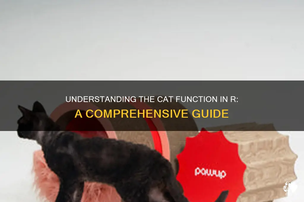 What Does the Cat Do in R