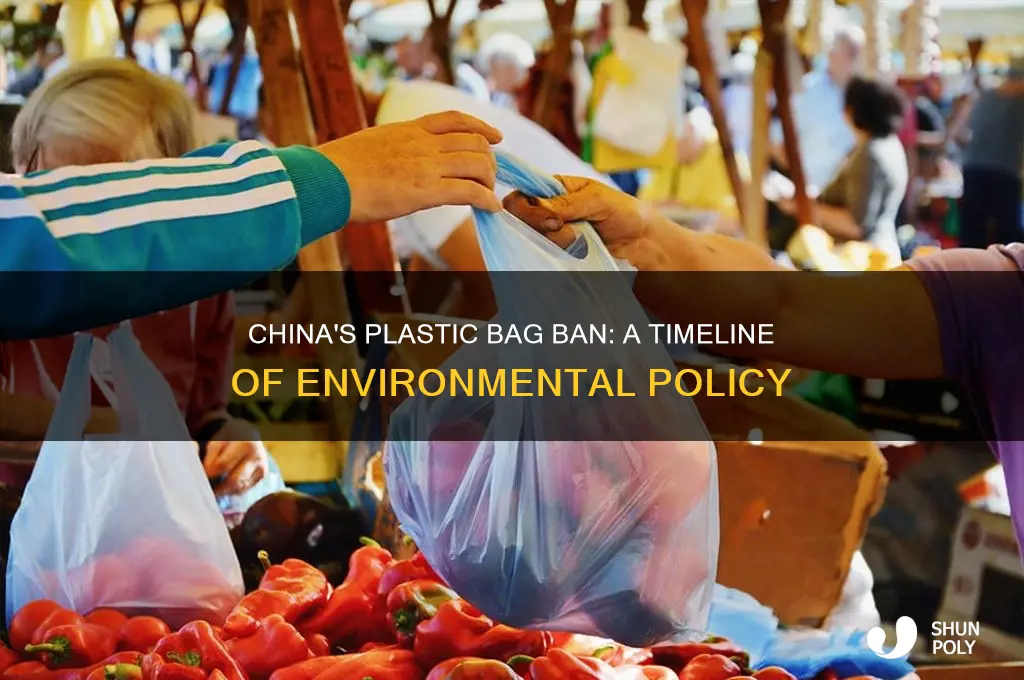 Plastic Bag Policy in China