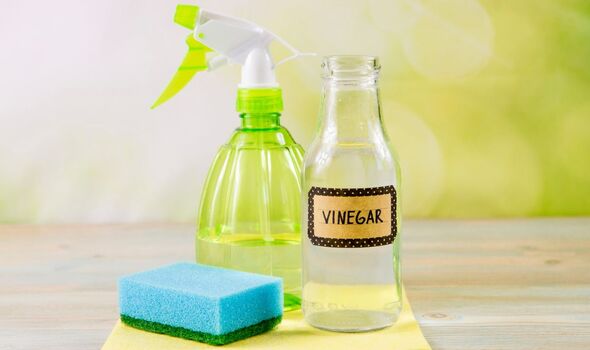 White Vinegar for Spiders
