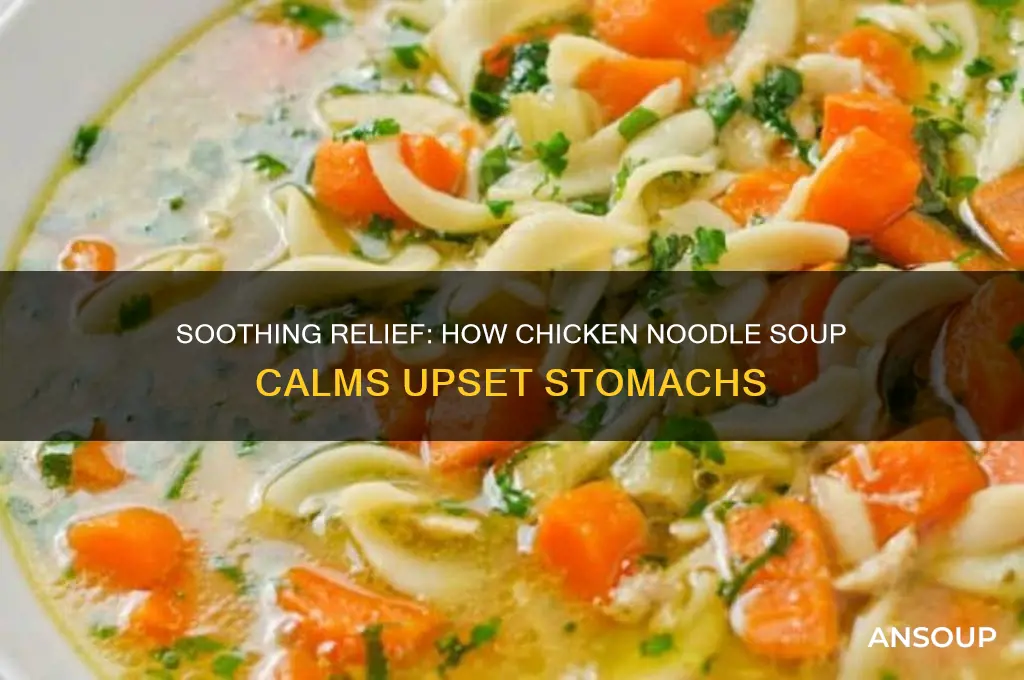 Is Chicken Noodle Soup Good for Upset Stomach
