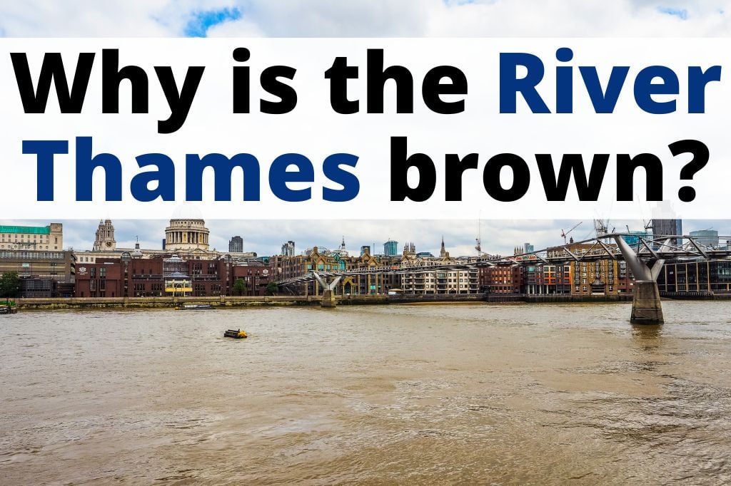 Why Is the Thames River Brown