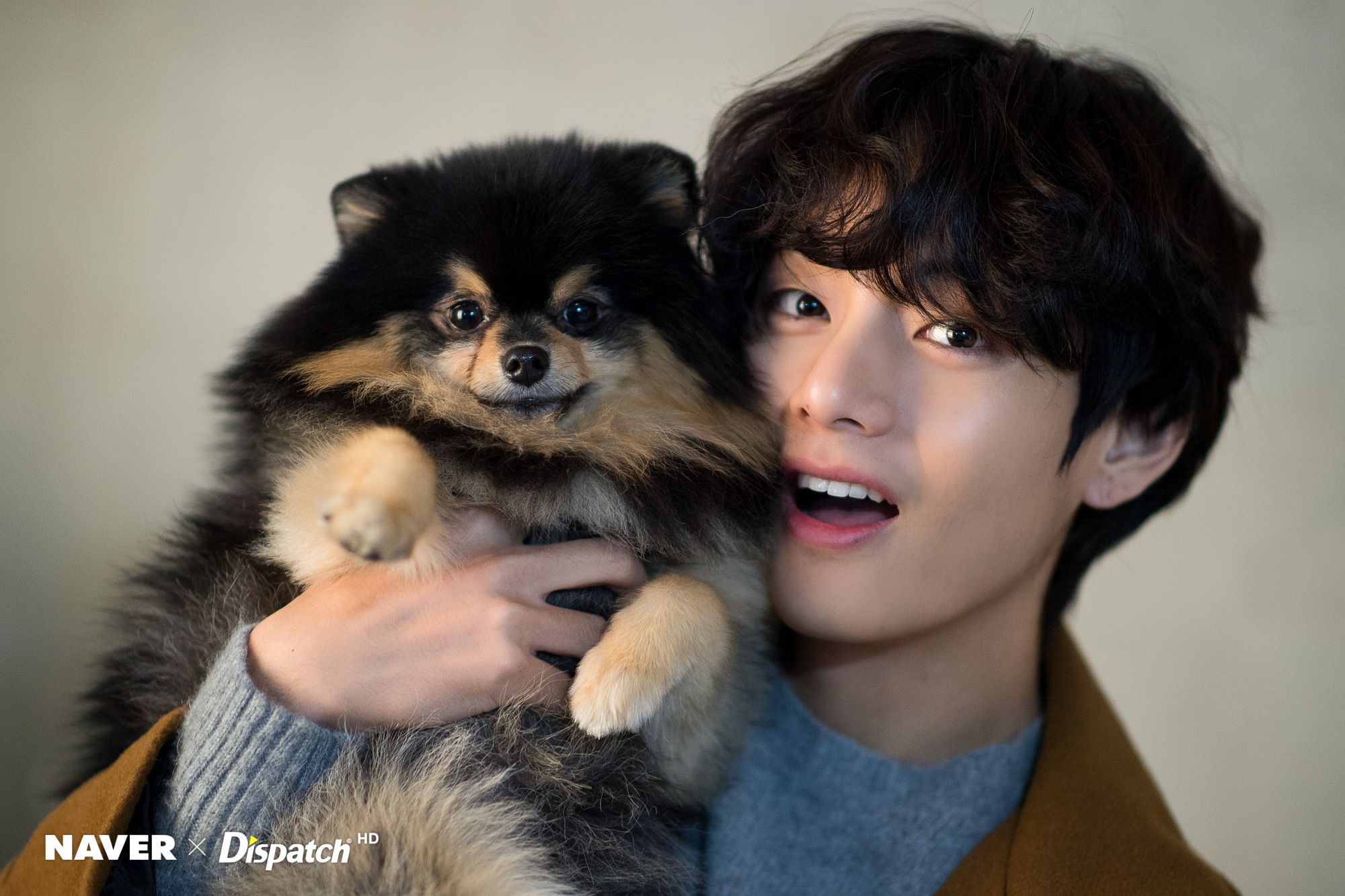 Does Taehyung Have a Dog