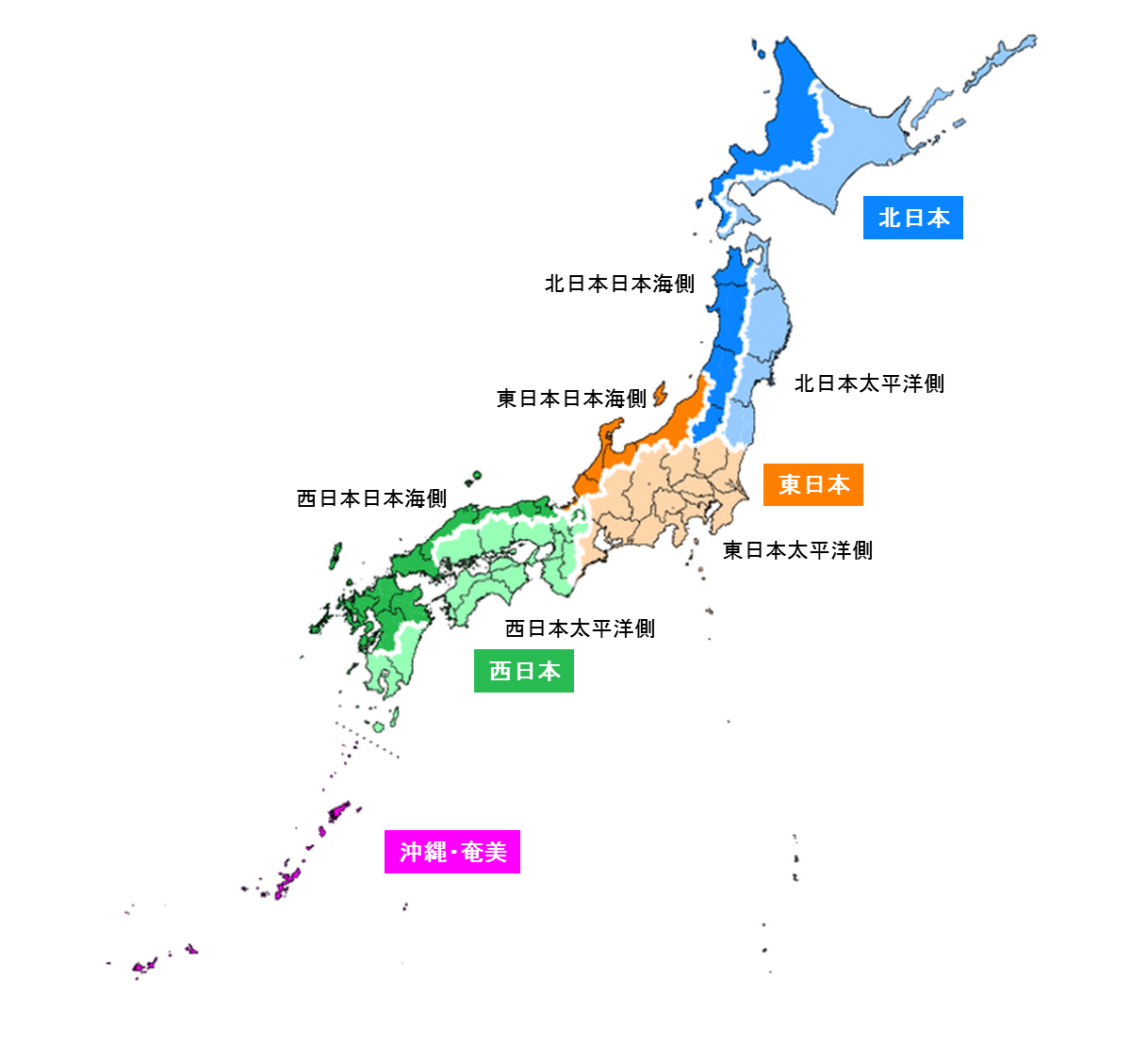 日本海側の大雪と気候の真実｜なぜ太平洋側と激変するのか徹底解剖