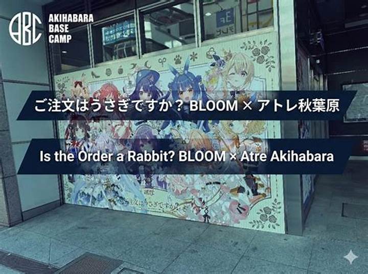 Https: //Www. Adelakun. Org/Akihabara-1/6082426/