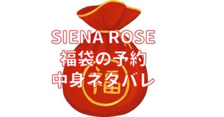 シエナロゼ福袋の全貌！即完売の理由と22,000円・33,000円の中身ネタバレ・入手失敗を防ぐ完全攻略法