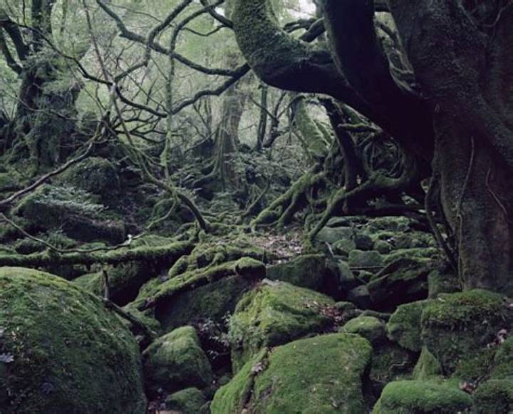 視線の深層：写真家・高木康行がレンズ越しに捉えた都市、自然、そして時代の静寂